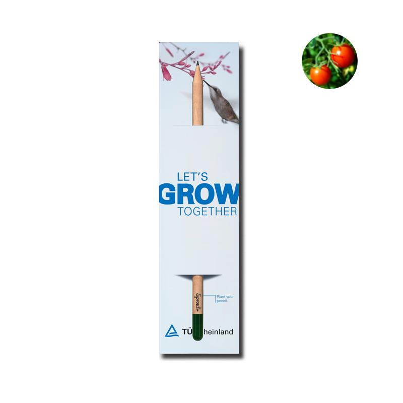 Sprout Stifte, 3 verschiedene Sorten